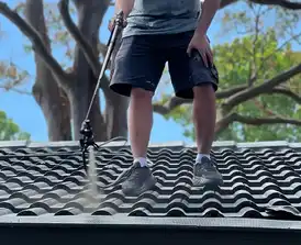 Expert team conducting roof painting and restoration services
