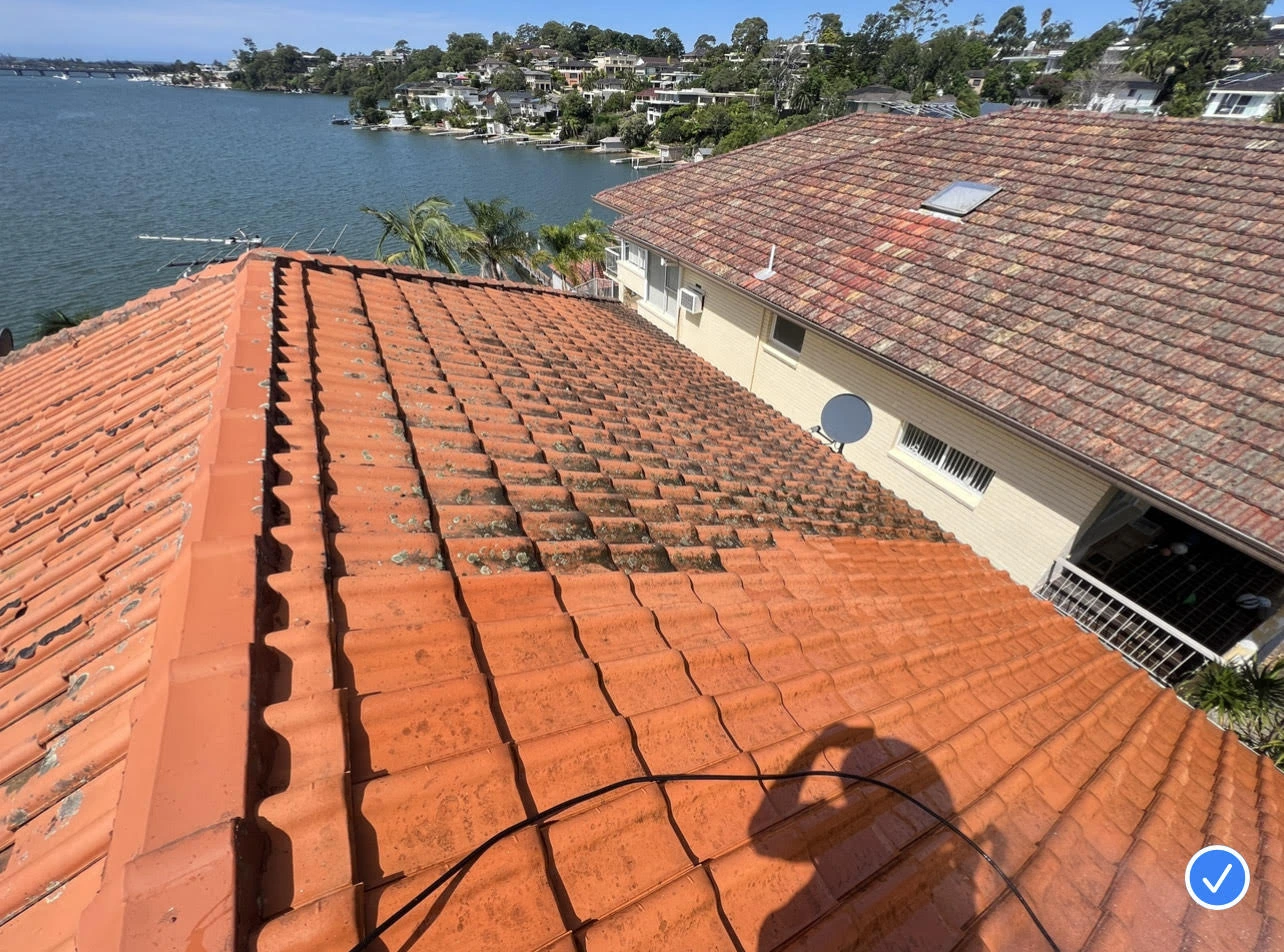 Bright, newly painted rooftop shining under the Sydney sun